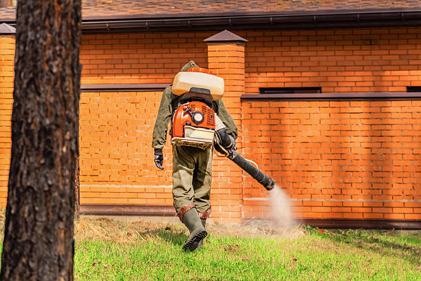 Bed Bug Clearance Verification and Documentation in Flint Hill